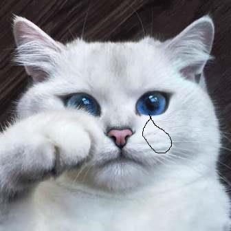 bir kac kediyi oldurdum Bir kaç kediyi öldürdüm!