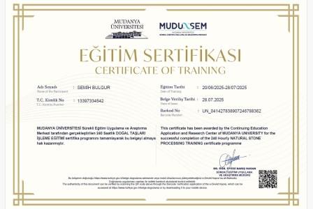 gemology natural stone processing training certificate
