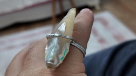 2026 harika yüzzük tasaruım